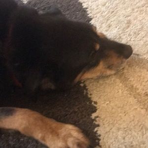 Meet your Posher, Shawna